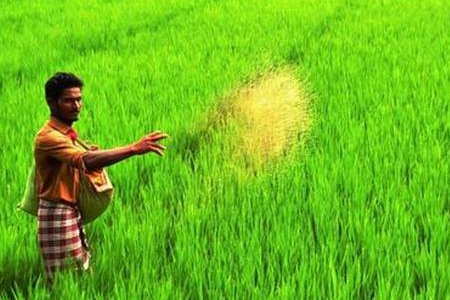 कृषी विभाग